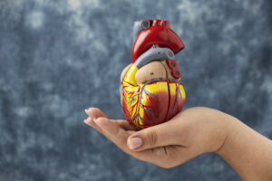 Heart Specialists in Varanasi | Cardiologist in Varanasi| Cardio Clinic